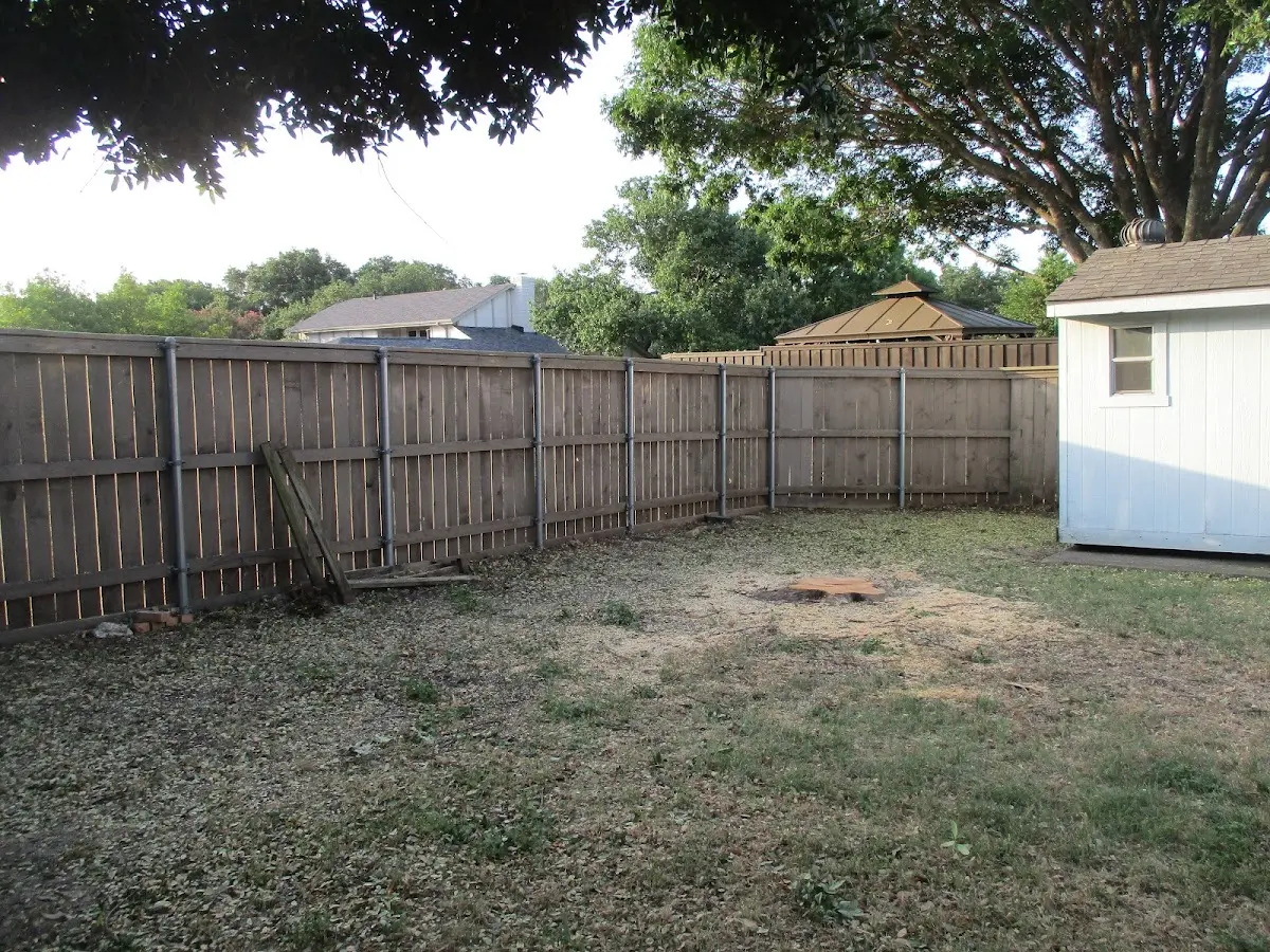 Cleared yard after professional tree removal in Ashley Falls